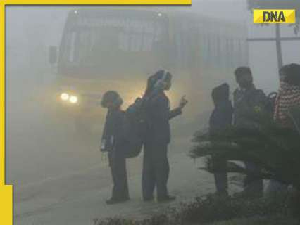 ‘No more shivering’: Why Delhi, North India experiencing warmer days