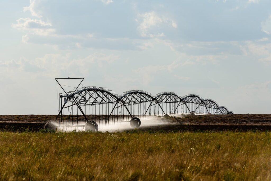 Will Republican control of Congress lead to updated ag laws? Texas farmers hope so. Will Republican control of Congress lead to updated ag laws? Texas farmers hope so.