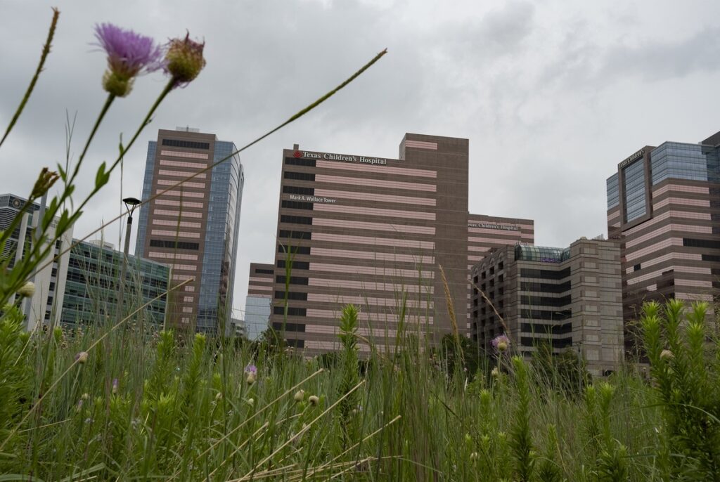 Feds drop charges against Texas doctor accused of leaking transgender care data Feds drop charges against Texas doctor accused of leaking transgender care data