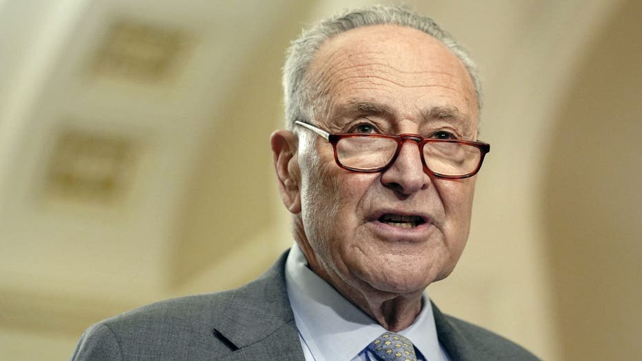 Schumer says Dems must ‘look in the mirror’ after losing White House, Senate: ‘We did some things wrong’ Schumer says Dems must ‘look in the mirror’ after losing White House, Senate: ‘We did some things wrong’