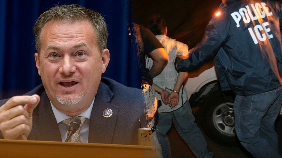 ‘Undo the damage’: Texas lawmaker launches strategy to help ICE amid Trump deportation blitz ‘Undo the damage’: Texas lawmaker launches strategy to help ICE amid Trump deportation blitz