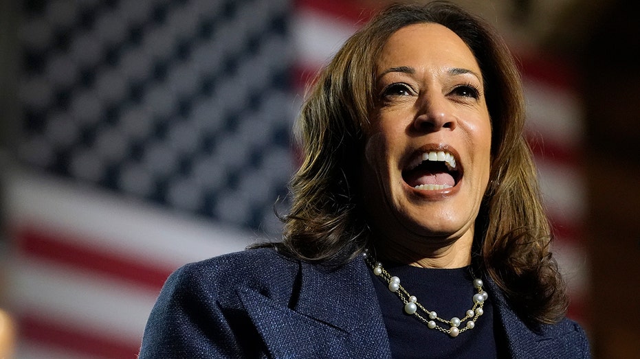 DNC hires former Harris staffers behind @KamalaHQ for social media response to Trump DNC hires former Harris staffers behind @KamalaHQ for social media response to Trump