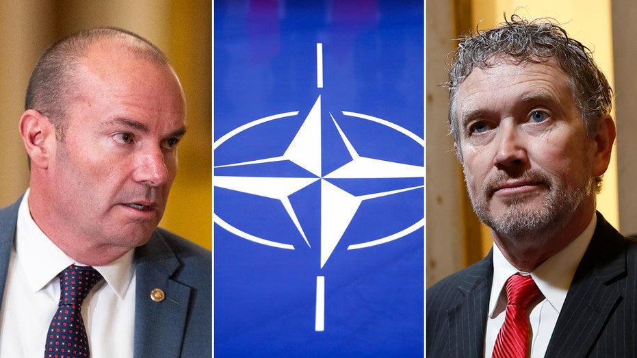 Thomas Massie and Mike Lee advocate for US to dump NATO Thomas Massie and Mike Lee advocate for US to dump NATO