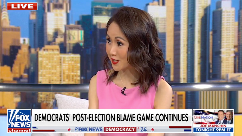 Former Dem fundraiser sees ‘overwhelmingly positive’ response as her longtime donors give to Trump inaugural Former Dem fundraiser sees ‘overwhelmingly positive’ response as her longtime donors give to Trump inaugural