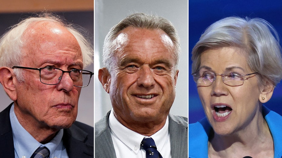 RFK Jr. to meet with slew of Dems including Elizabeth Warren, Bernie Sanders RFK Jr. to meet with slew of Dems including Elizabeth Warren, Bernie Sanders