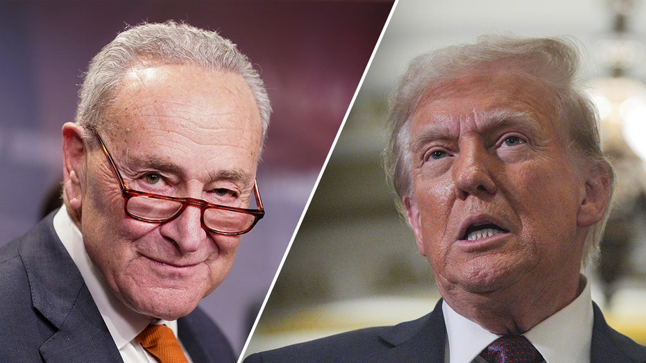 Schumer directs Dems to put pressure on Trump nominees ahead of confirmation hearings Schumer directs Dems to put pressure on Trump nominees ahead of confirmation hearings