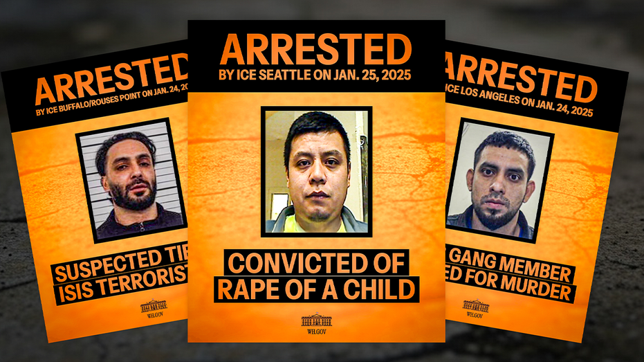 Trump admin touts purging ‘worst’ illegal immigrant criminals from US streets: ‘Working tirelessly’ Trump admin touts purging ‘worst’ illegal immigrant criminals from US streets: ‘Working tirelessly’