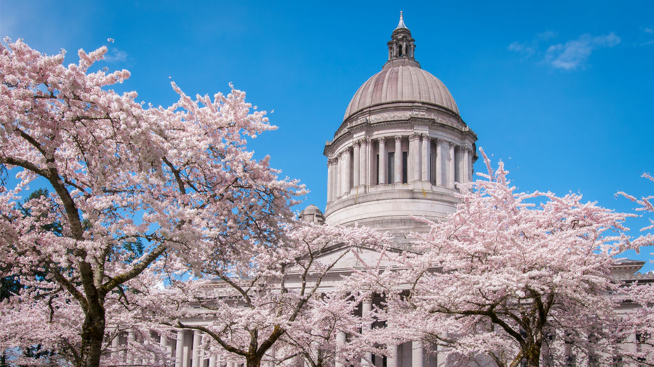 Washington state Democrats accidentally email their ‘radical’ tax plan to entire Senate Washington state Democrats accidentally email their ‘radical’ tax plan to entire Senate