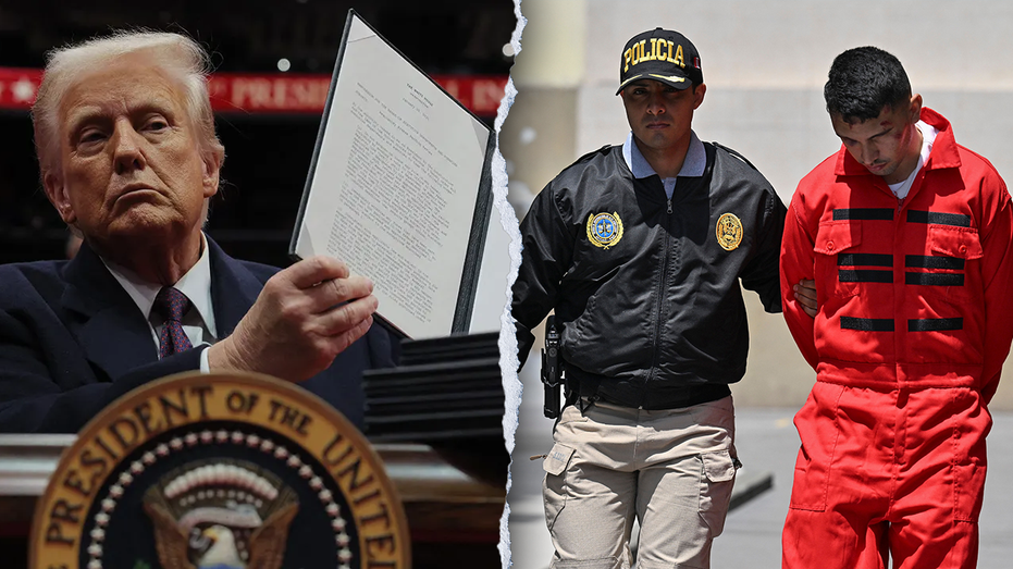 Trump State Department declares Tren de Aragua, MS-13, Mexican drug cartels as foreign terrorist organizations Trump State Department declares Tren de Aragua, MS-13, Mexican drug cartels as foreign terrorist organizations