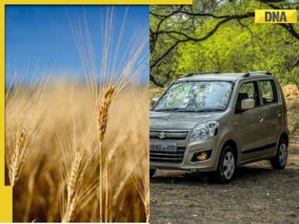 Car gets stuck in wheat field in the dead of night, know what Google Maps error caused later Car gets stuck in wheat field in the dead of night, know what Google Maps error caused later