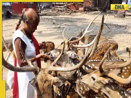 Meet Anuradha Rao, Andaman’s ‘Deer Woman’ key in bridging gap between humans, wildlife Meet Anuradha Rao, Andaman’s ‘Deer Woman’ key in bridging gap between humans, wildlife