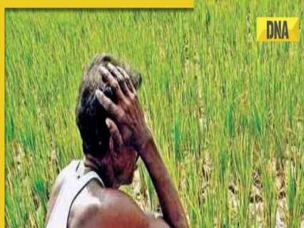 PM Kisan Yojana: PM Modi to release 19th instalment of PM KISAN in Bhagalpur today PM Kisan Yojana: PM Modi to release 19th instalment of PM KISAN in Bhagalpur today