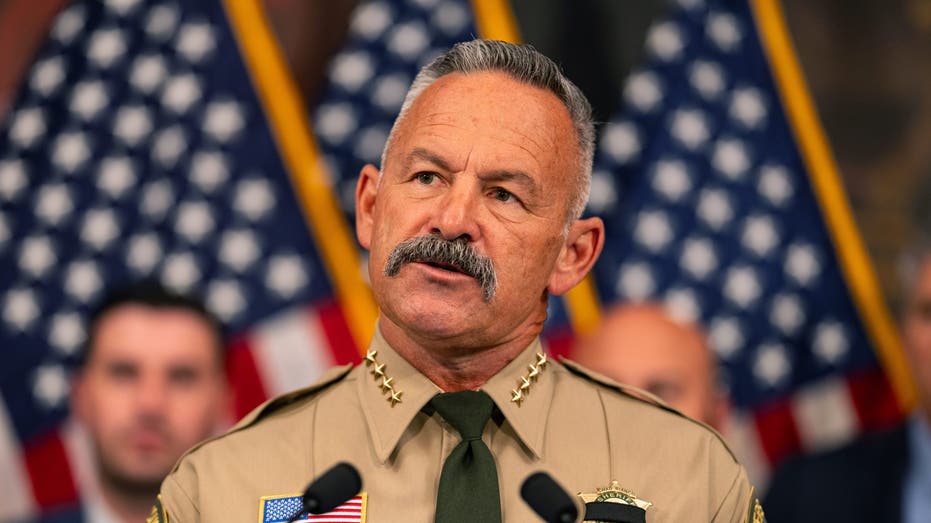 Trump supporting California sheriff to launch GOP run for governor in race to succeed Newsom: sources Trump supporting California sheriff to launch GOP run for governor in race to succeed Newsom: sources