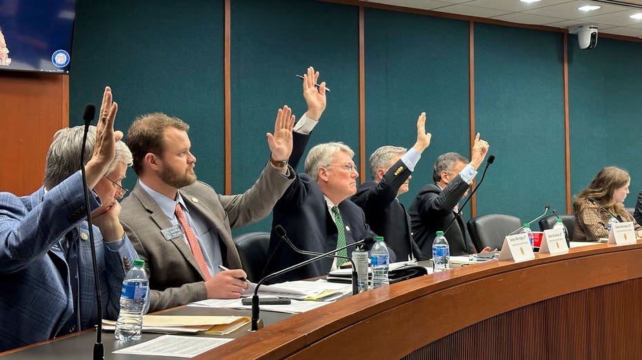 Georgia bill passed in state Senate likened to ‘DOGE Lite’ Georgia bill passed in state Senate likened to ‘DOGE Lite’