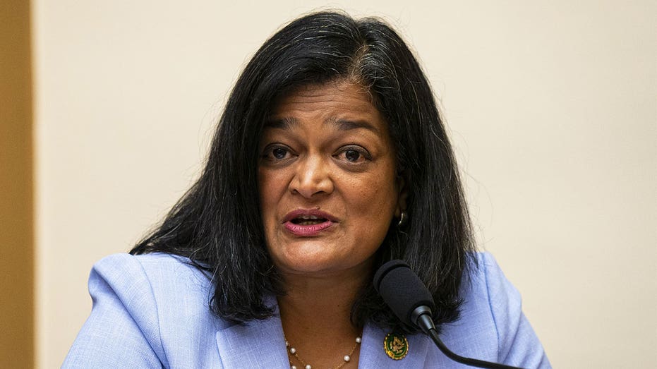 Jayapal slammed for telling Americans to ‘think about who picked’ their food in anti-deportation remarks Jayapal slammed for telling Americans to ‘think about who picked’ their food in anti-deportation remarks