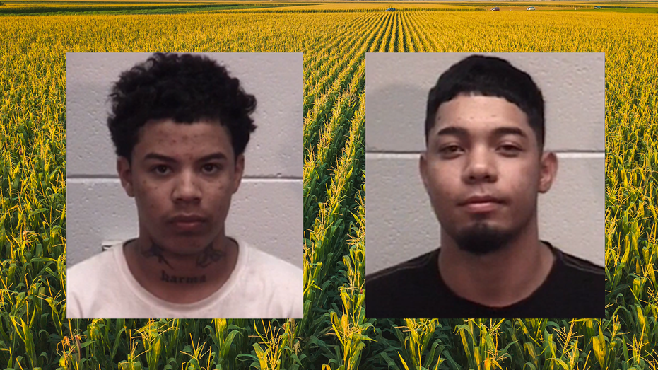 Alleged fentanyl-smuggling immigrants lead police on dangerous cornfield chase Alleged fentanyl-smuggling immigrants lead police on dangerous cornfield chase