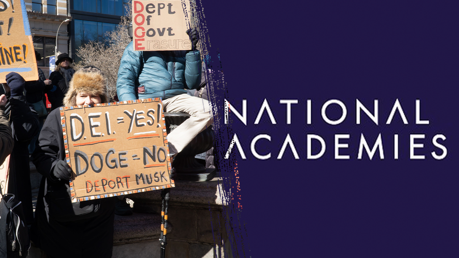 ‘Structural racism’: Top taxpayer-funded academy rife with DEI programs, hefty executive salaries