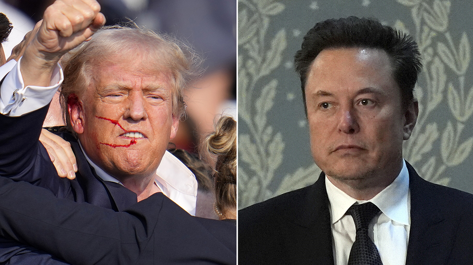 ‘I didn’t know that’: Musk surprises Trump with revelation about his 2024 endorsement ‘I didn’t know that’: Musk surprises Trump with revelation about his 2024 endorsement