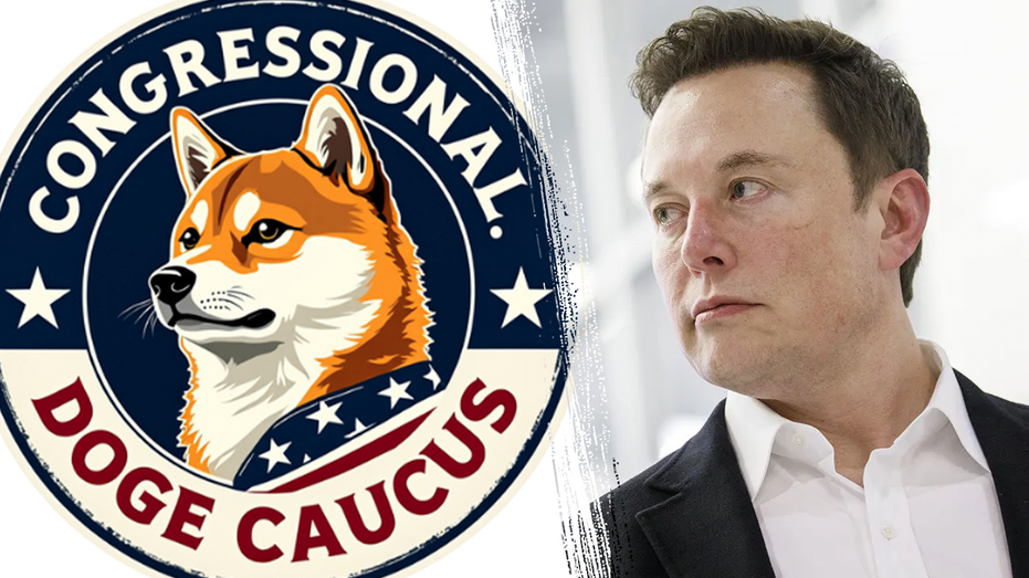 New DOGE bill would target more than 0B in annual improper payments from safety nets, lawmaker says New DOGE bill would target more than 0B in annual improper payments from safety nets, lawmaker says