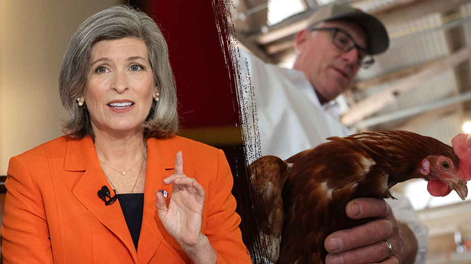 ‘Devasted farms’: Bipartisan Senate letter calls for ‘new urgency’ to address crippling virus ‘Devasted farms’: Bipartisan Senate letter calls for ‘new urgency’ to address crippling virus