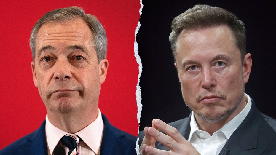 ‘Mr. Brexit’ advocates for UK DOGE over ‘complete waste’ of taxpayer money