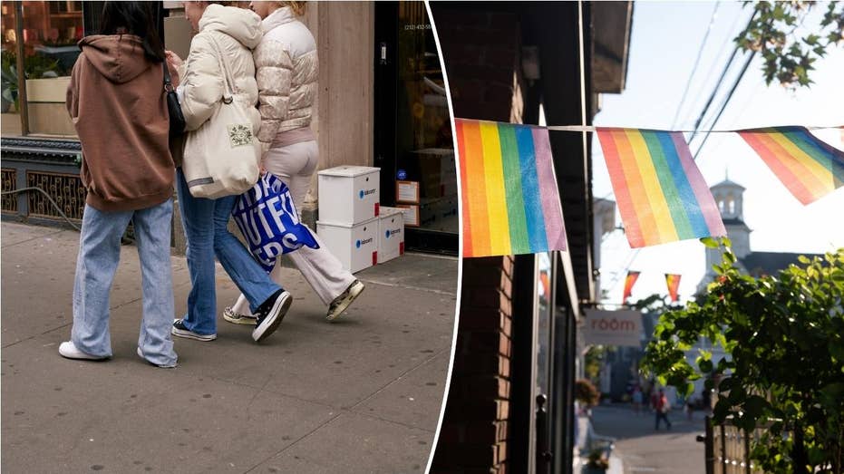 LGBT Americans reach record number, more likely to be Dems, Gen Z: Gallup poll LGBT Americans reach record number, more likely to be Dems, Gen Z: Gallup poll