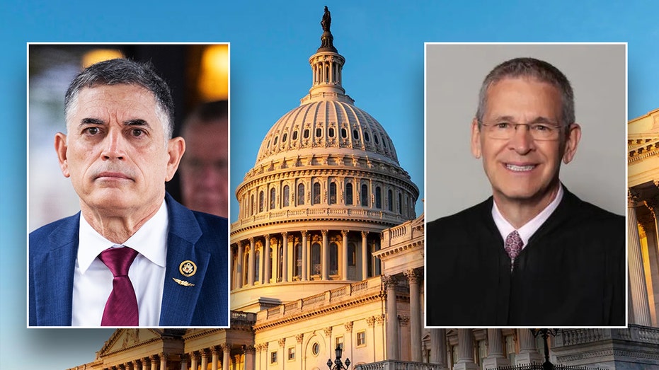 Judicial pushback on Trump ‘hurting American people,’ says GOP rep leading impeachment charge Judicial pushback on Trump ‘hurting American people,’ says GOP rep leading impeachment charge