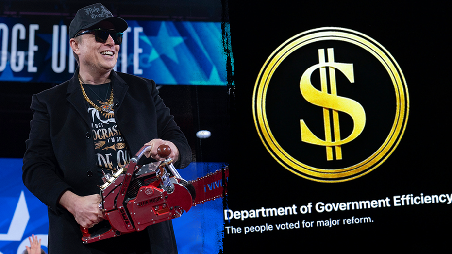 ‘Overwhelmingly popular’: Elon Musk touts Americans’ DOGE support ‘Overwhelmingly popular’: Elon Musk touts Americans’ DOGE support