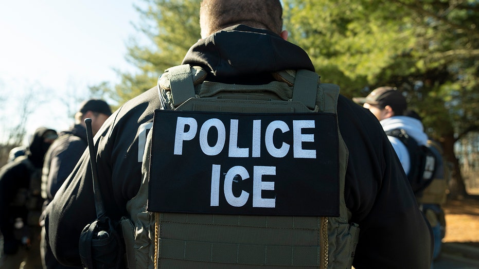 Blue-state lawmakers consider bill to roll back sanctuary policies Blue-state lawmakers consider bill to roll back sanctuary policies