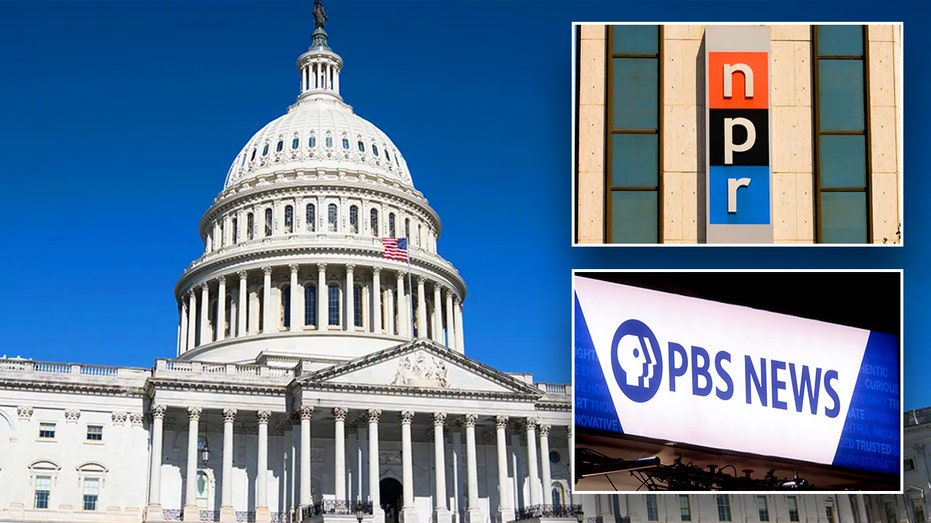 ‘Liberal propaganda’ media outlet could see taxpayer funding slashed if GOP efforts succeed ‘Liberal propaganda’ media outlet could see taxpayer funding slashed if GOP efforts succeed