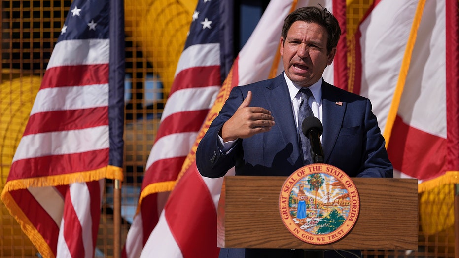 DeSantis announces Florida ‘DOGE task force’ DeSantis announces Florida ‘DOGE task force’