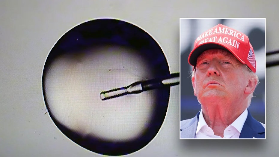 Pro-life leaders urge Trump to reverse his IVF stand, say the technology is ‘not pro-life’ Pro-life leaders urge Trump to reverse his IVF stand, say the technology is ‘not pro-life’
