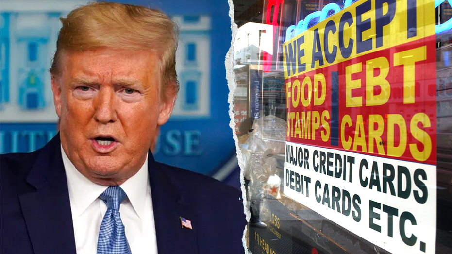 Top Trump official moves to block illegal immigrants from receiving food stamps: ‘Follow the law, full stop’ Top Trump official moves to block illegal immigrants from receiving food stamps: ‘Follow the law, full stop’