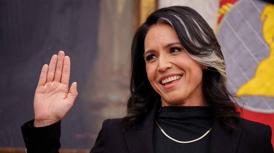 Tulsi Gabbard gives exclusive glimpse of Trump’s first Cabinet meeting Tulsi Gabbard gives exclusive glimpse of Trump’s first Cabinet meeting