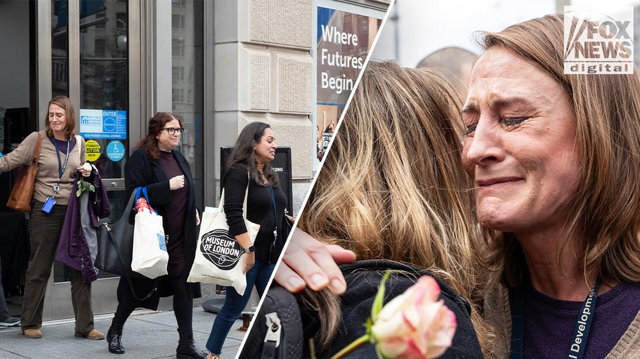‘Fired me illegally’: Emotional ex-USAID employees leave building with belongings after mass layoffs ‘Fired me illegally’: Emotional ex-USAID employees leave building with belongings after mass layoffs