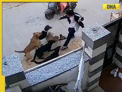 18-year-old girl attacked by nearly 10 stray dogs in Rajasthan’s Alwar in viral video; WATCH 18-year-old girl attacked by nearly 10 stray dogs in Rajasthan’s Alwar in viral video; WATCH