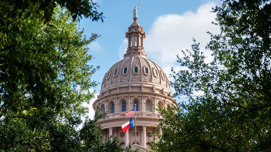 Texas lawmaker proposes bill to ban gender transition treatment for everyone, including adults Texas lawmaker proposes bill to ban gender transition treatment for everyone, including adults