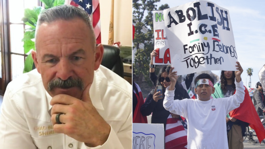 Blue state sheriff issues stark warning for activists who defy ICE, rips media ‘fear mongering’ Blue state sheriff issues stark warning for activists who defy ICE, rips media ‘fear mongering’