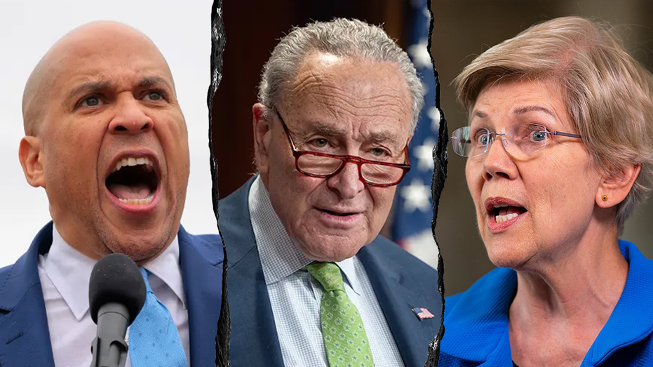 Conservatives flip script on Senate Dems pushing identical talking points against Trump: ‘Like robots’ Conservatives flip script on Senate Dems pushing identical talking points against Trump: ‘Like robots’