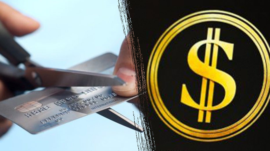 DOGE and agencies cancel 200,000 federal government credit cards DOGE and agencies cancel 200,000 federal government credit cards