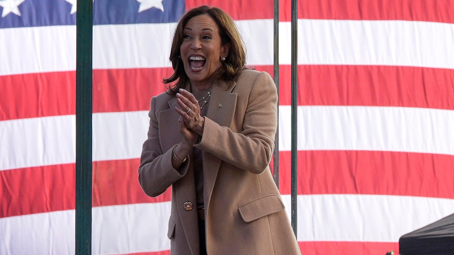 Kamala Harris reveals timetable for making major political decision in deep blue state Kamala Harris reveals timetable for making major political decision in deep blue state