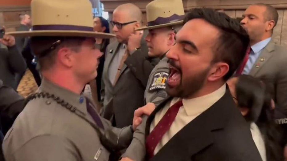 New York assemblyman tries to confront Tom Homan over arrest of Columbia University anti-Israel activist New York assemblyman tries to confront Tom Homan over arrest of Columbia University anti-Israel activist