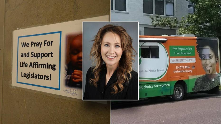Red state bill could zero out tax burden for donors to pro-life pregnancy centers Red state bill could zero out tax burden for donors to pro-life pregnancy centers
