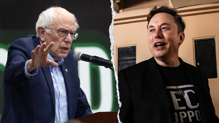 ‘He cannot buy an election here in Wisconsin’: Sanders slams Musk in state Trump won by less than 1% ‘He cannot buy an election here in Wisconsin’: Sanders slams Musk in state Trump won by less than 1%