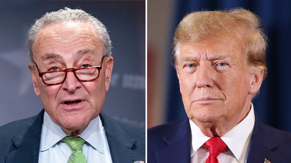 Shutdown averted after Schumer caves and backs Trump spending bill Shutdown averted after Schumer caves and backs Trump spending bill