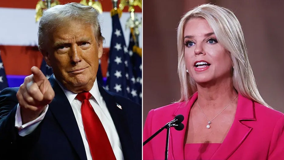 Trump wants ‘activist’ groups that sue the government to put up money if they lose Trump wants ‘activist’ groups that sue the government to put up money if they lose