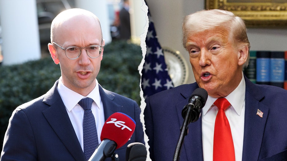 Former Harris 2024 advisor sends warning to Democrats in audience for Trump speech: ‘Do not do dumb sh–‘ Former Harris 2024 advisor sends warning to Democrats in audience for Trump speech: ‘Do not do dumb sh–‘