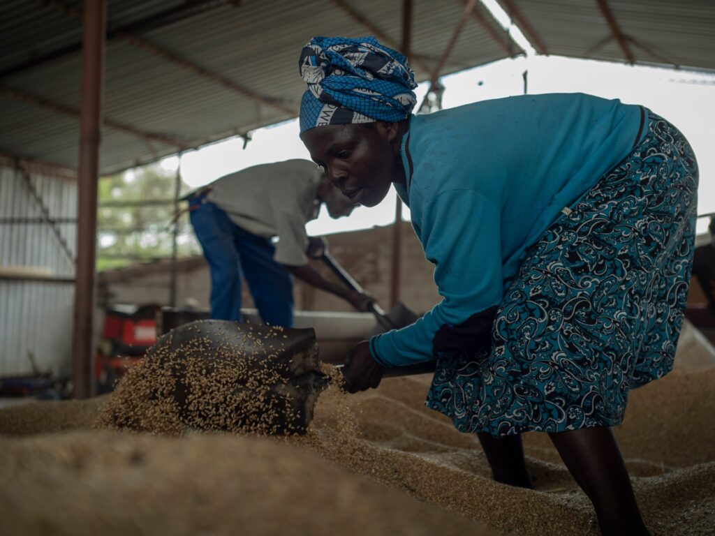 Reverse reparations: Zimbabwe’s perfect trap, South Africa’s looming danger