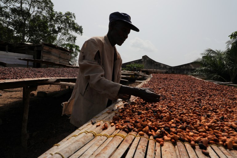 Bitter truth: Why has chocolate become so expensive? Bitter truth: Why has chocolate become so expensive?