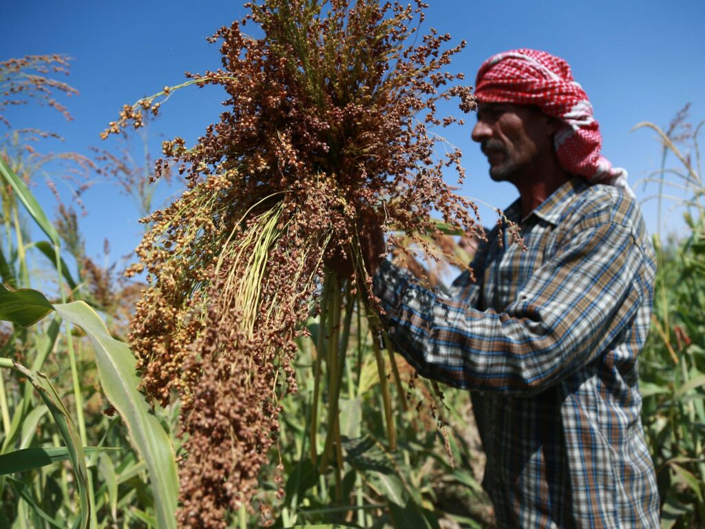Syria’s first wheat shipment since al-Assad ouster points to recovery Syria’s first wheat shipment since al-Assad ouster points to recovery
